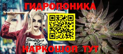 spice Тулун