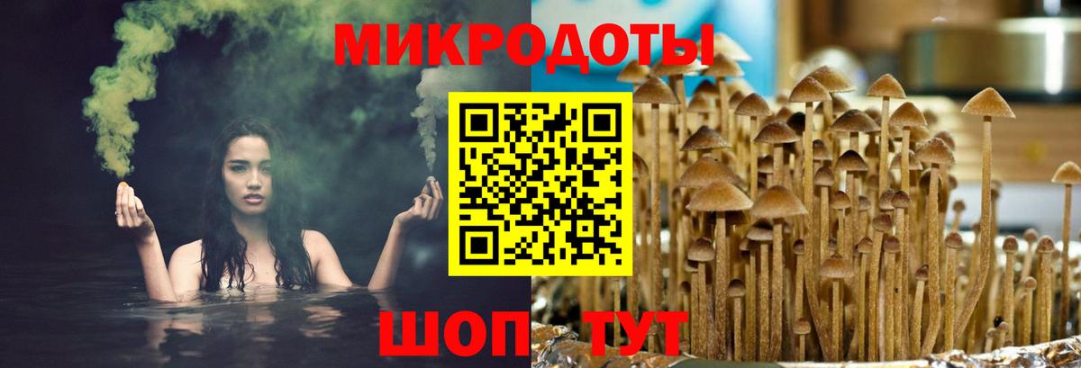 Мценск  Псилоцибиновые грибы Magic Shrooms  Вход с VPN 